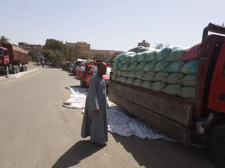 محافظ أسيوط: توريد 3560 طن قمح محلي للصوامع والشون حتى الآن