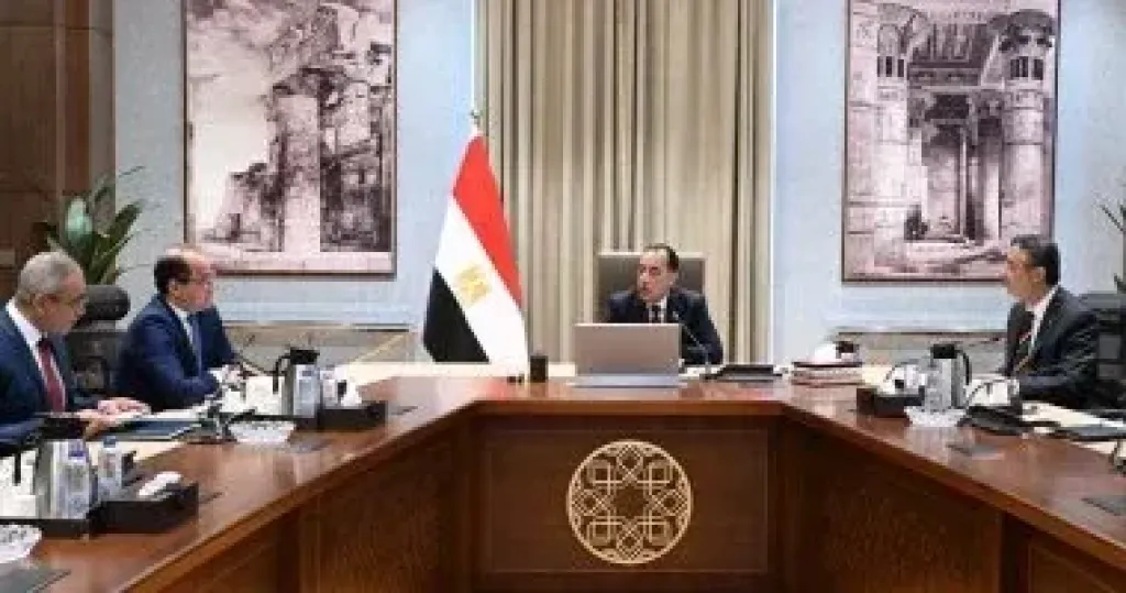 رئيس الوزراء يلتقي الرئيس التنفيذي لشركة ”فاليو” الفرنسية