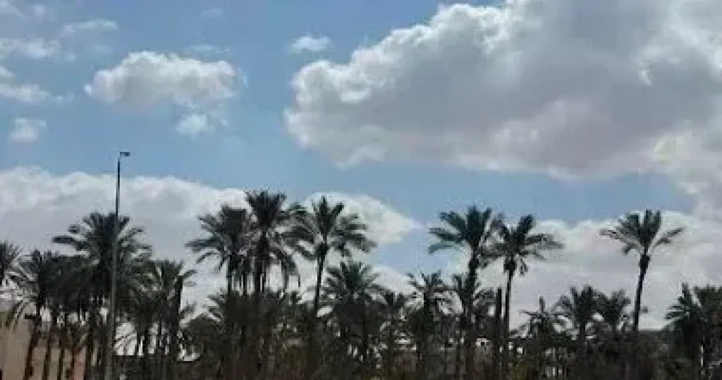 أجواء ربيعية.. الأرصاد تكشف تفاصيل الطقس والظواهر الجوية حتي السبت المقبل