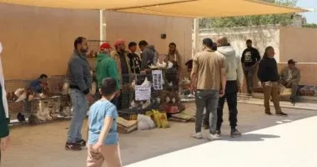 محافظ القاهرة: الانتهاء من إقامة سوق الحمام الجديد بالسيدة عائشة ونقل الباعة إليه