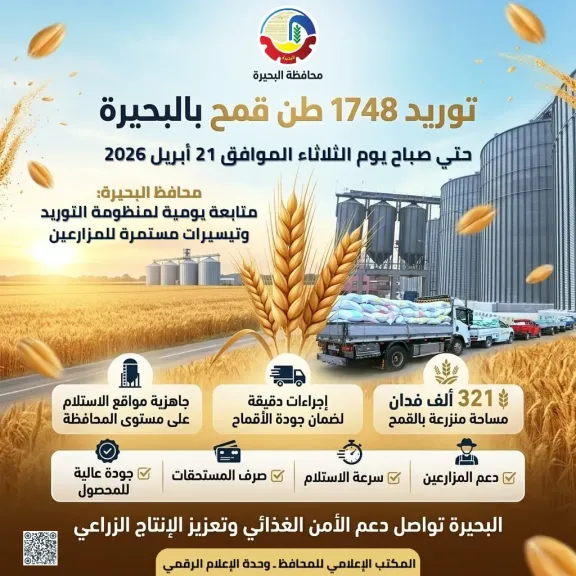 محافظ البحيرة: متابعة يومية لتوريد القمح وتيسيرات مستمرة للمزارعين