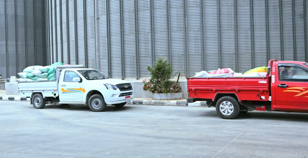 الذهب الأصفر يتدفق بقوة في صوامع البحيرة توريد 2354 طن قمح حتى صباح اليوم