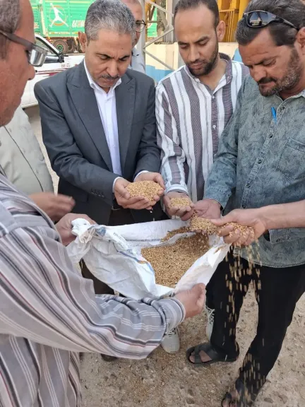 محافظ أسيوط: توريد 7191 طن قمح حتى الآن وتيسيرات شاملة لدعم المزارعين