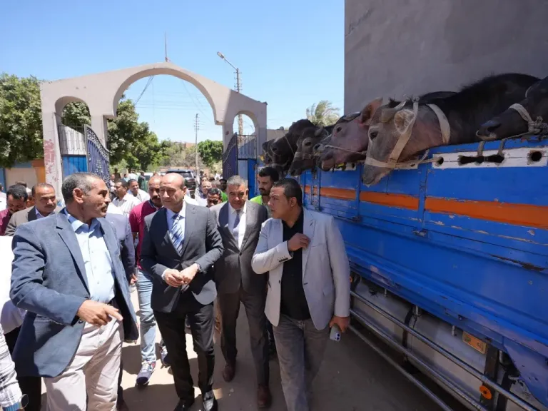 محافظ أسيوط يسلم 28 رأس ماشية للأسر الأولى بالرعاية بمركز البداري