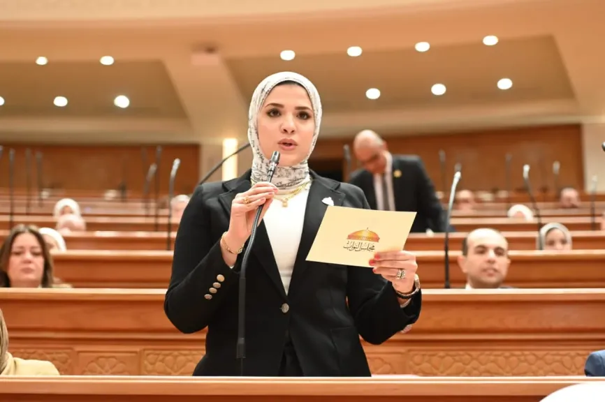 النائبة الدكتورة غادة قنديل تتقدم بطلب إحاطة لإعادة طرح تكليف كامل لخريجي المهن الطبية