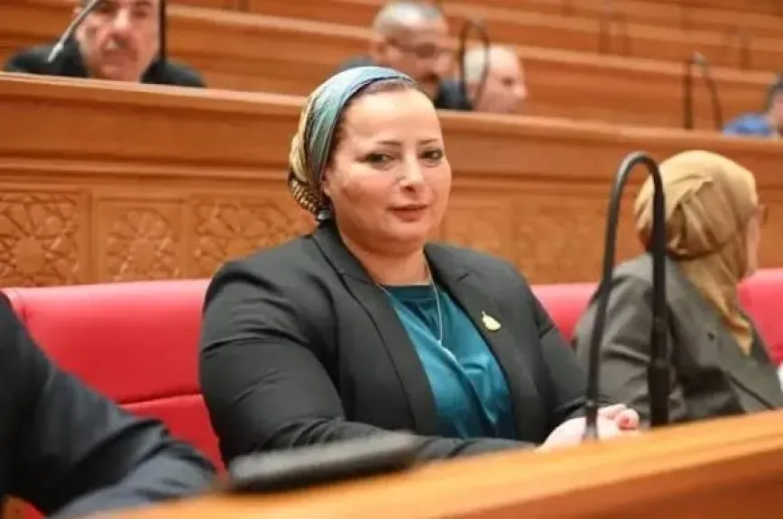 النائبة مروة حسان: كلمة الرئيس السيسي في ذكرى تحرير سيناء تؤكد قدرة مصر حماية أرضها ومواجهة التحديات