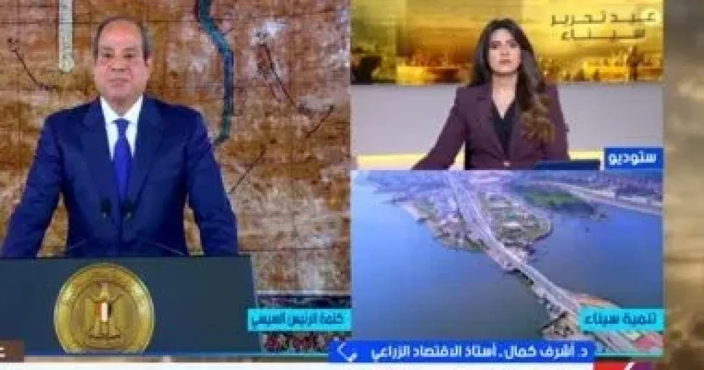 أستاذ اقتصاد: مشروعات زراعية كبرى بسيناء لتحقيق الأمن الغذائي