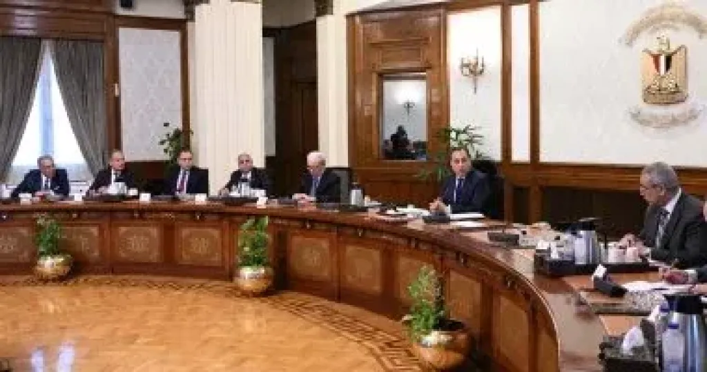 مدبولى يوجه بسرعة إنهاء إجراءات انقسام شركة المحلة للطرح أمام القطاع الخاص