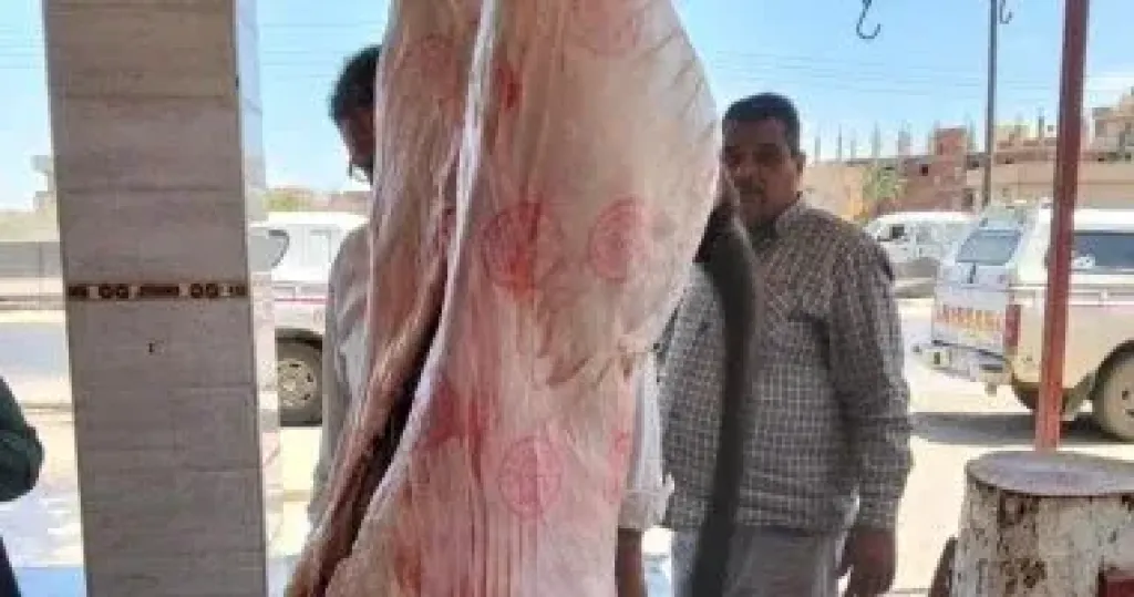 حملة مكبرة تضبط كميات من البتلو وذبح خارج المجازر في البحيرة