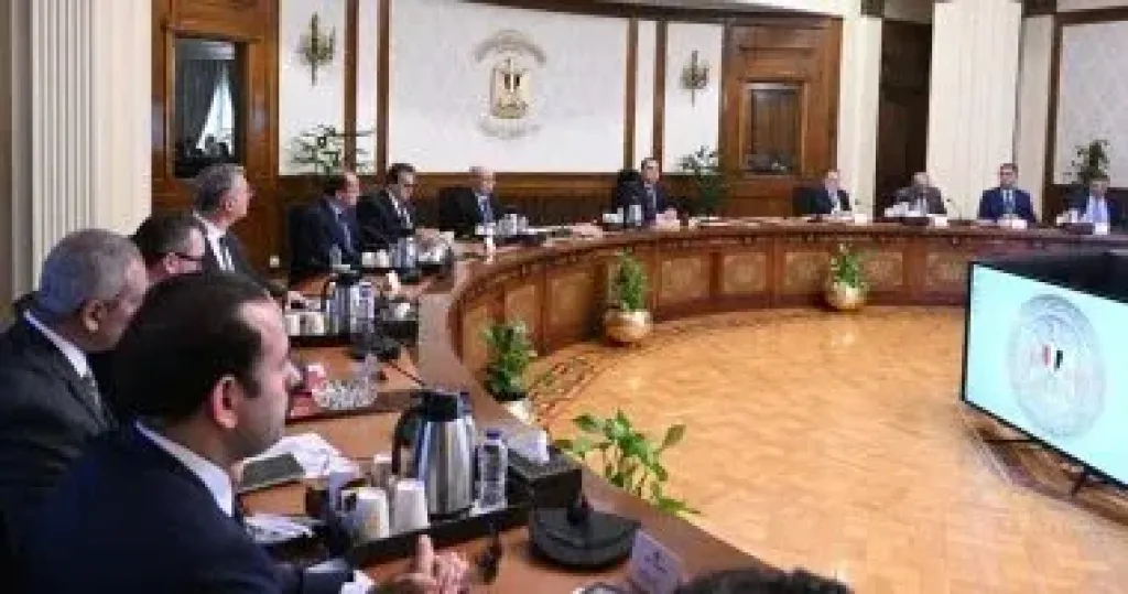 رئيس الوزراء يوجه بإعلان مبادرة تحفيزية للمصانع والمنازل للتحول إلى الطاقة الشمسية