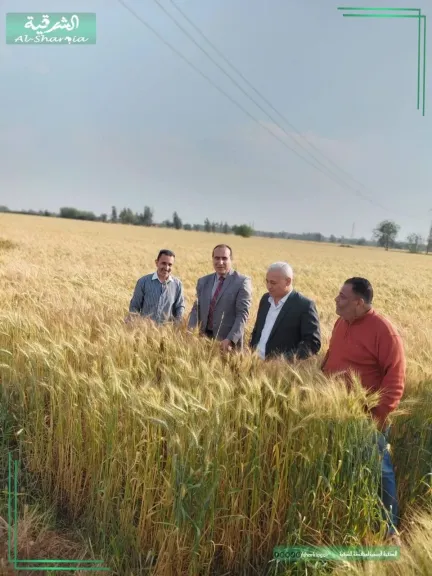 زراعة بالشرقية :ندوات مكثفة  لدعم المزارعين بمراكز المحافظة