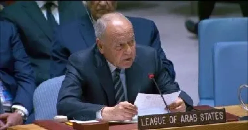 أبو الغيط أمام مجلس الأمن: الاحتلال الإسرائيلى جوهر عدم الاستقرار فى الشرق الأوسط