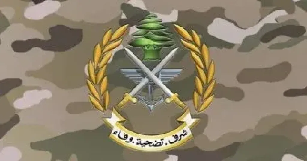 استشهاد عسكري لبناني وشقيقه فى غارة إسرائيلية بـ”خربة سلم”