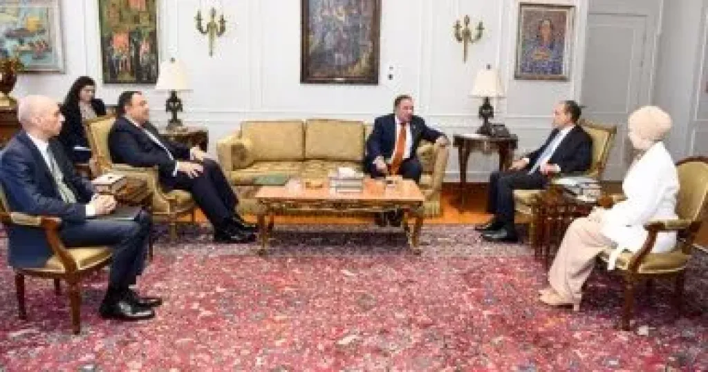 وزير الخارجية يلتقى رئيس لجنة الشئون العربية بمجلس النواب