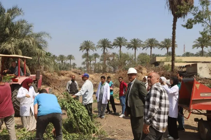 جامعة القاهرة تدشّن وحدة لتدوير المخلفات الزراعية دعمًا للاستدامة
