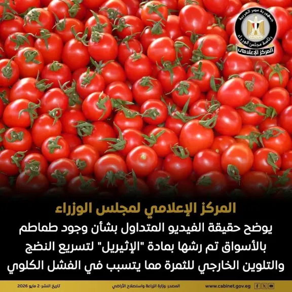 مجلس الوزراء يوضح حقيقة الفيديو المتداول بوجود طماطم بالأسواق تم رشها بـ الإثيريل