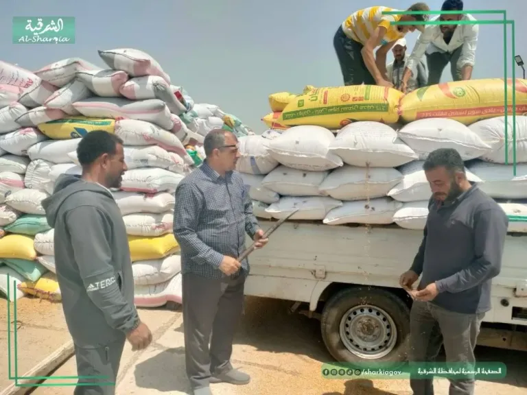 تموين الشرقية : استقبال ١٦٦٢٢٦ طن من الأقماح المحلية