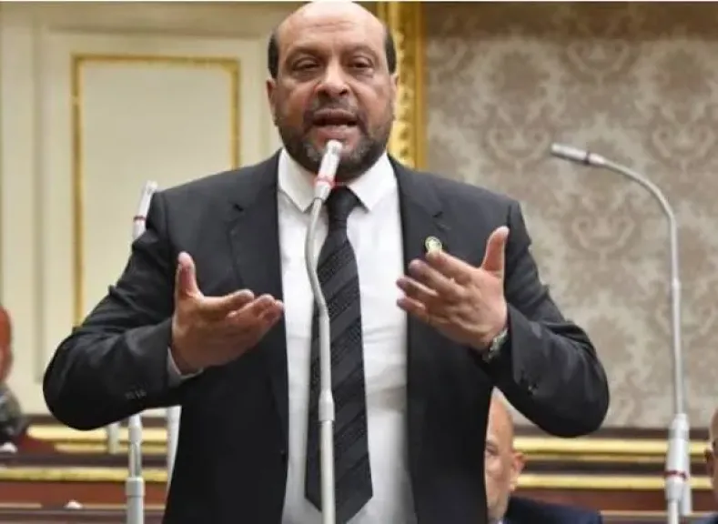 الشامي: ربط التصرف في الأراضي الصناعية بالإنتاج الفعلي يغلق باب «تسقيع الأراضي»