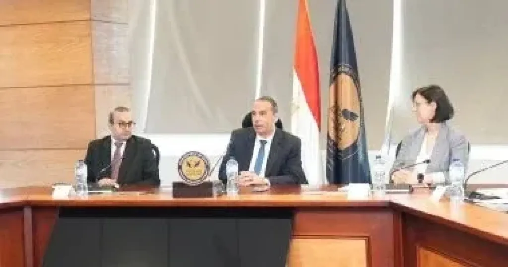 رئيس الرقابة المالية: استفادة 1.9 مليون سيدة من برامج التمويل للمشروعات الصغيرة لعام 2025