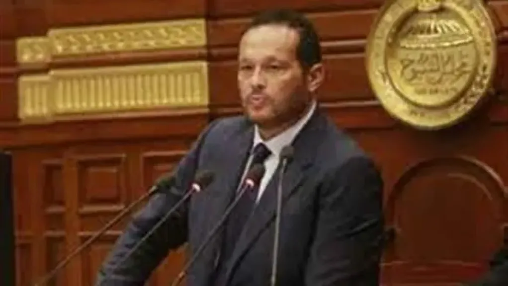 حلاوة رئيسًا للجنة التجارة والجمارك والهجرة بالبرلمان الأفريقي