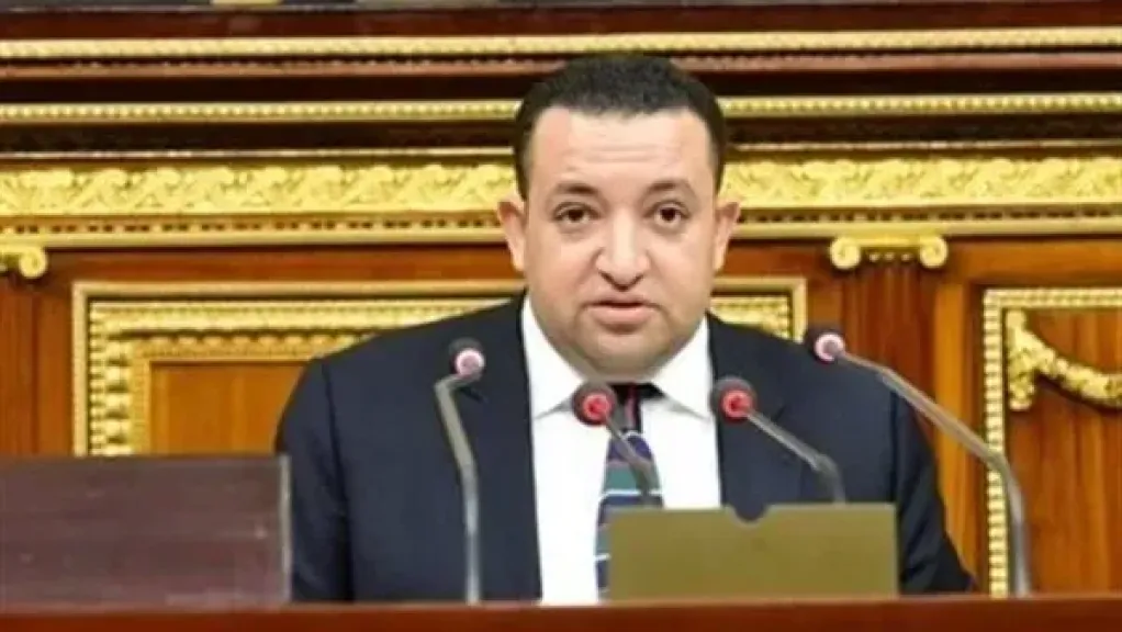 النائب تامر عبد القادر يرفض مشروع قانون التأمينات والمعاشات ويطالب بإعادته للجنة المختصة