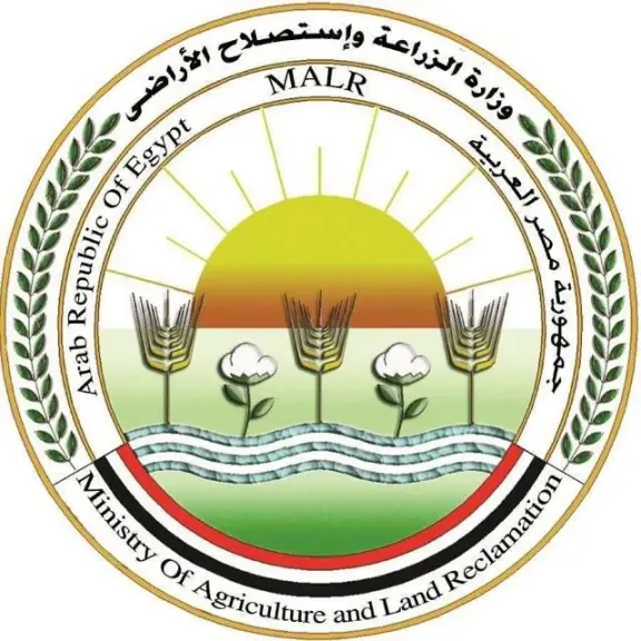 غدا.. ”الزراعة” تبدأ في صرف أسمدة الموسم الصيفي: إجراءات صارمة الرقابة والمتابعة