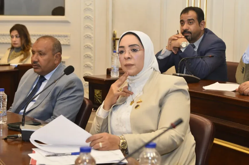 وفاء رشاد تفجّر أزمة الإهمال الحكومي بعد سقوط 3 شباب بكوبري نجع حمادي: حذرنا من الكارثة ولم يتحرك أحد