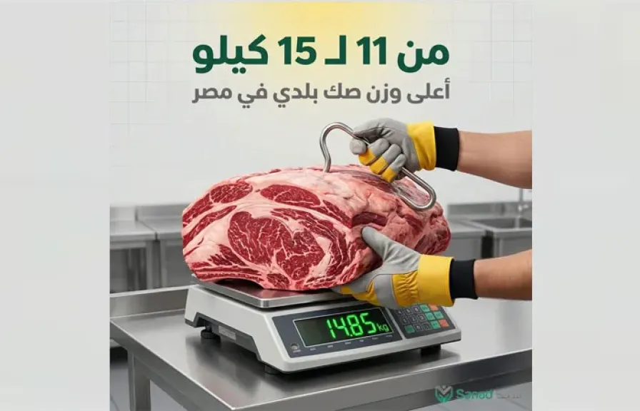 مؤسسة تطبيق سند» تطلق موسم الأضاحي 2026 بمنظومة رقمية متكاملة لتعزيز الشفافية والتحول الرقمي في العمل الخيري