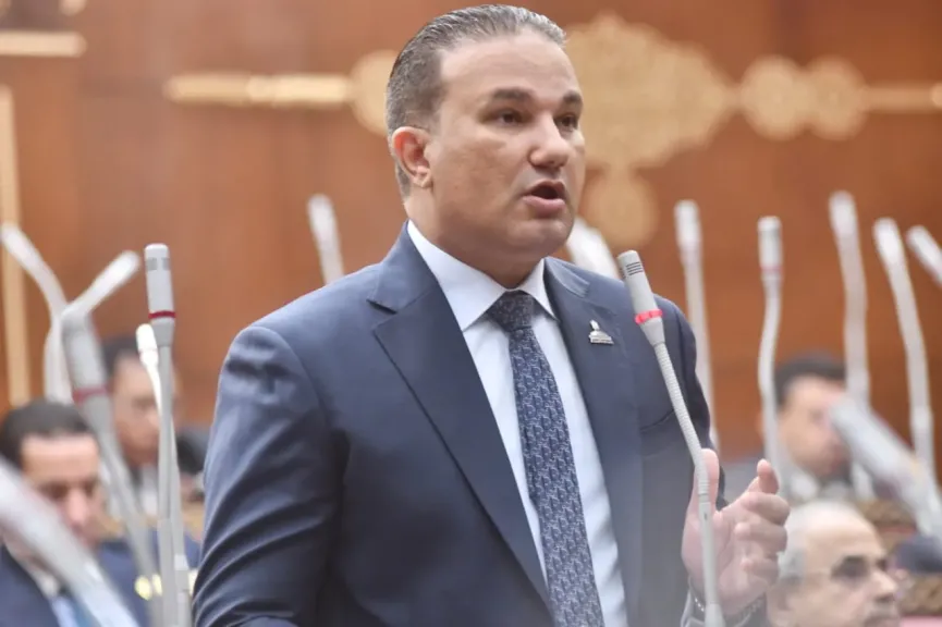 النائب تامر عبد الحميد أمام الشيوخ : ملف الطيران «أمن قومي واقتصادي».. وتراجع الخدمات بالمطارات يحتاج وقفة حاسمة