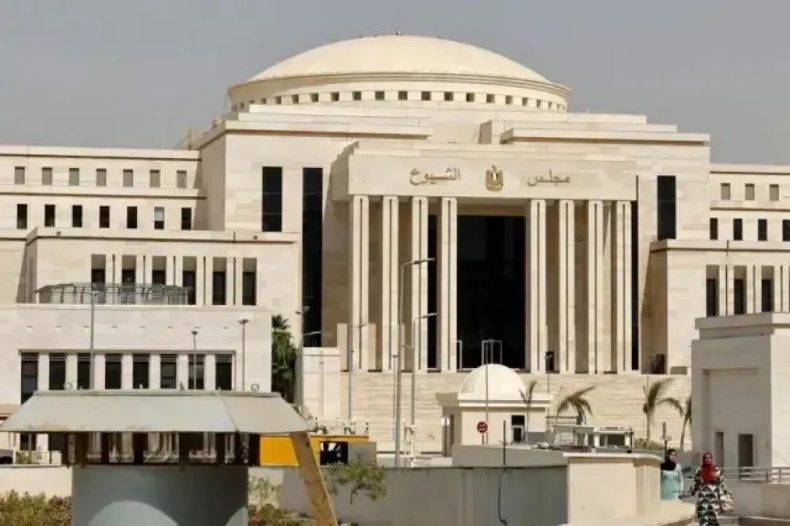 خارجية الشيوخ تستعرض رؤية مصر تجاه إفريقيا: الحلول أساس مواجهة الأزمات