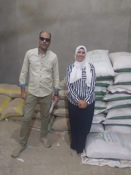 حملة تموينية مكثفة بمركز بني سويف تُسفر عن تحرير 7 محاضر وضبط سلع مجهولة المصدر وأعلاف بدون فواتير
