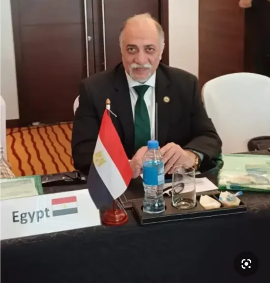 القصبي: السيسي أعاد لمصر ثقلها السياسي داخل أفريقيا