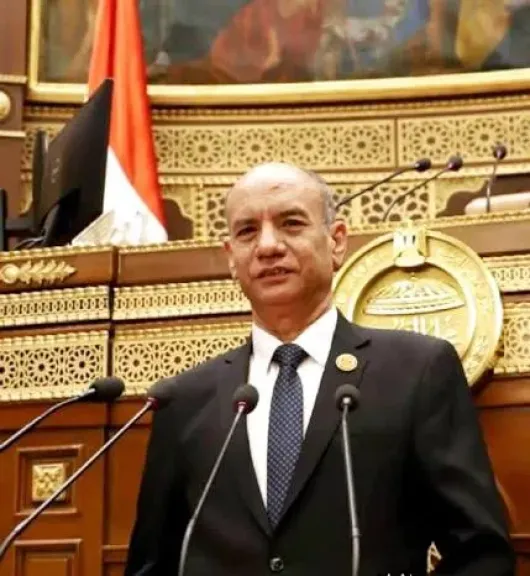 الرئيس السيسى أعاد تقديم مصر بقيمتها الحقيقية ومكانتها السياسية، وجعل كل العالم يأتي إلى مصر اعترافا بمكانتها ودورها الريادي.”