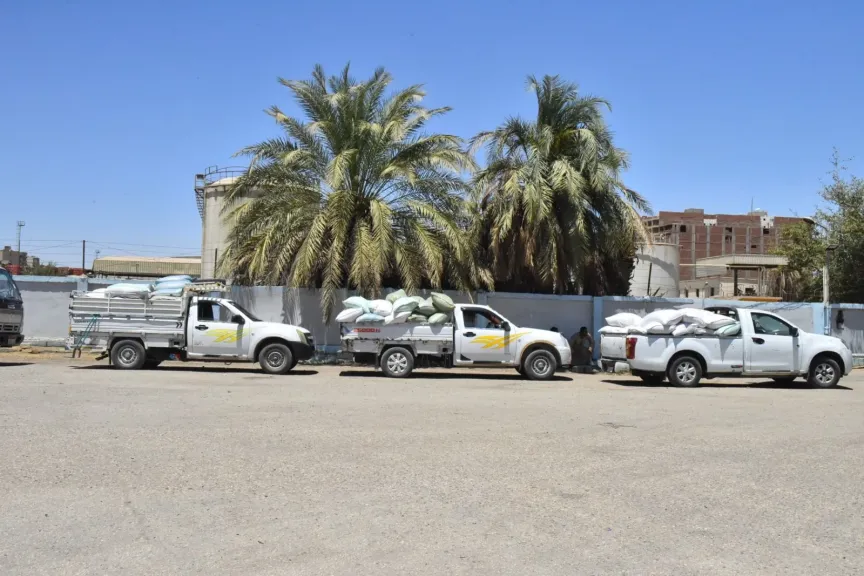 محافظ أسيوط: توريد 133 ألف و595 طن قمح محلي إلى الصوامع والشون وحصاد 166 ألف