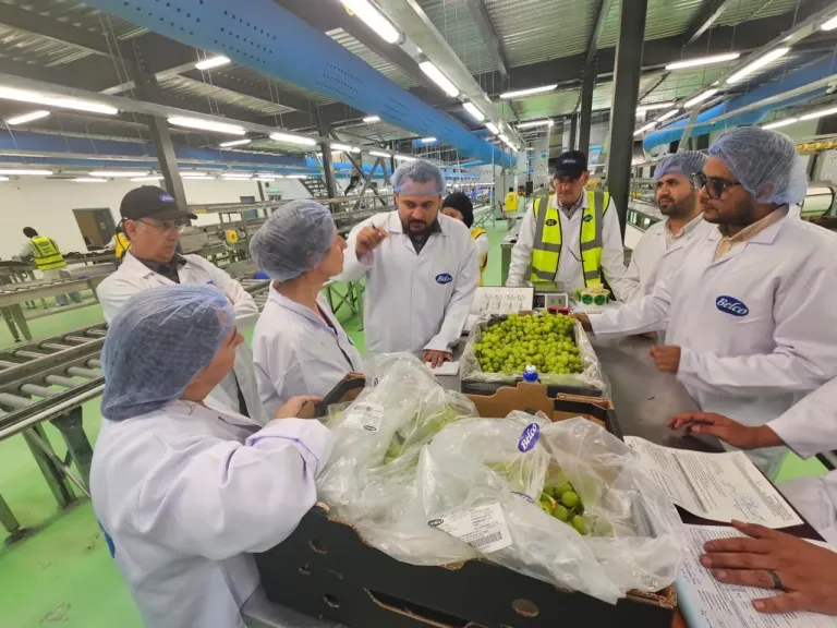 ”الزراعة”: وفد فني أرجنتيني ينهي زيارته لمصر تمهيدًا لفتح الأسواق أمام ”عنب المائدة”