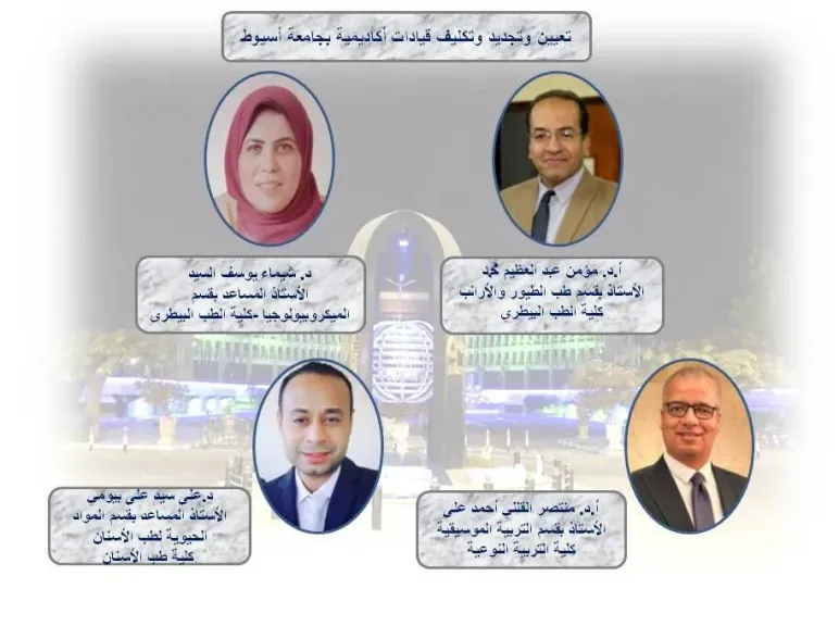 الدكتور المنشاوي يصدر قرارات بتعيين وتجديد تعيين وتكليف رؤساء أقسام بكليات