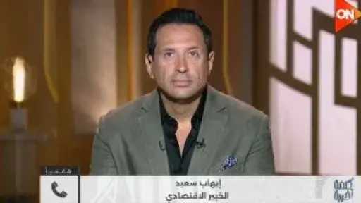 خبير اقتصادي: شركات التمويل غير المصرفي تطور طبيعي