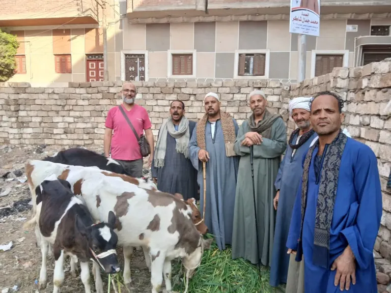 محافظ أسيوط: تحصين أكثر من 35 ألف رأس ماشية بنهاية الأسبوع الثالث