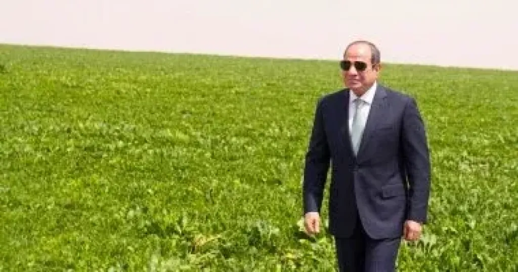 الرئيس السيسى: مئات الشركات من القطاع الخاص تعمل بمشروع الدلتا الجديدة