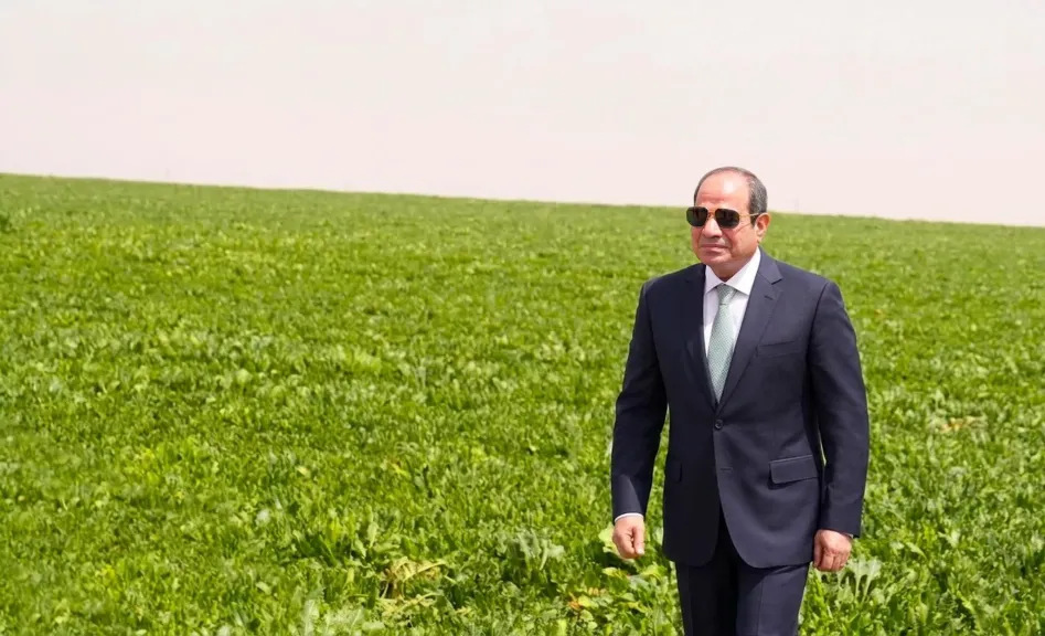 المستشارة ماريان شحاته تشيد برسائل الرئيس السيسي خلال افتتاح مشروع الدلتا الجديدة