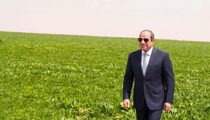 المستشارة ماريان شحاته تشيد برسائل الرئيس السيسي خلال افتتاح مشروع الدلتا الجديدة