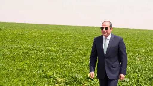 المستشارة ماريان شحاته تشيد برسائل الرئيس السيسي خلال افتتاح مشروع الدلتا الجديدة