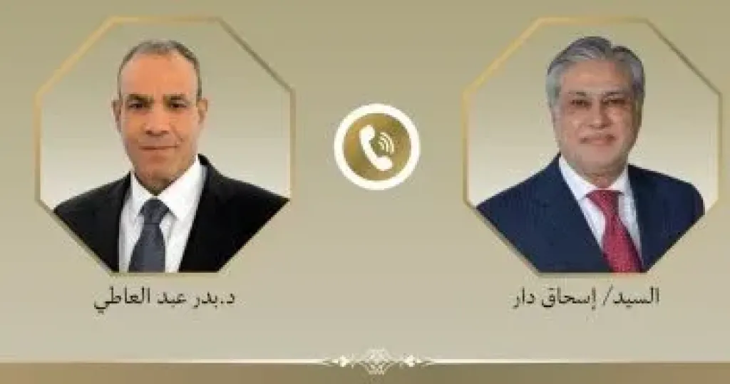 وزير الخارجية يبحث مع نظيره الباكستاني سبل تعزيز العلاقات وخفض التصعيد الإقليمي