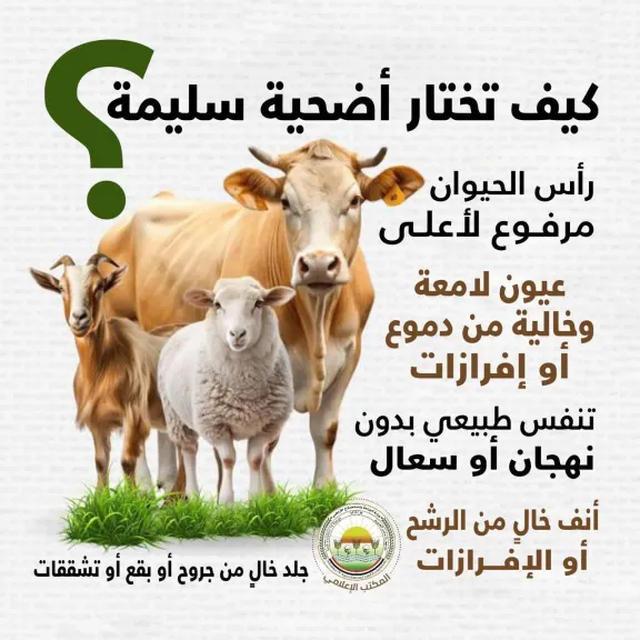 ”الزراعة” تصدر دليلاً من 20 توصية لاختيار الأضحية واللحوم السليمة