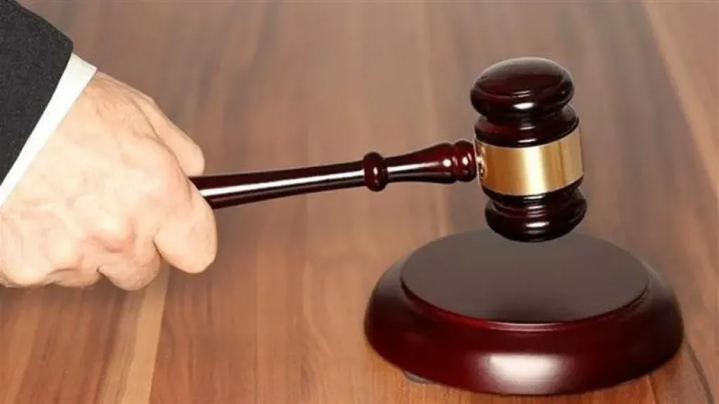 إحالة سائق سيارة ملاكي دهس طفلا بكرداسة للمحاكمة