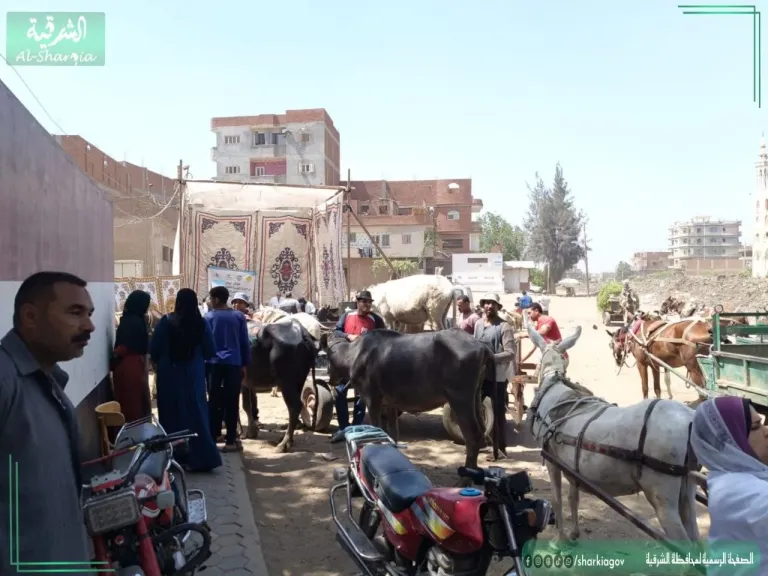 شئون البيئة بالشرقية تنظم ندوة عن مبادرة المشروعات الخضراء الذكية
