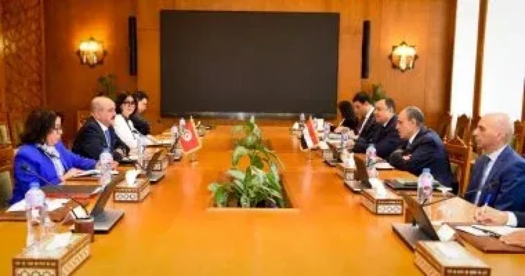 وزير الخارجية يترأس مع نظيره التونسى جولة لآلية التشاور السياسى بين مصر وتونس