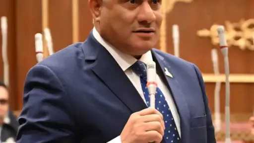 النائب شعبان رأفت : كلمة الرئيس السيسي في يوم إفريقيا أكدت عمق الدور المصري بالقارة ودعم مسيرة التنمية والاستقرار