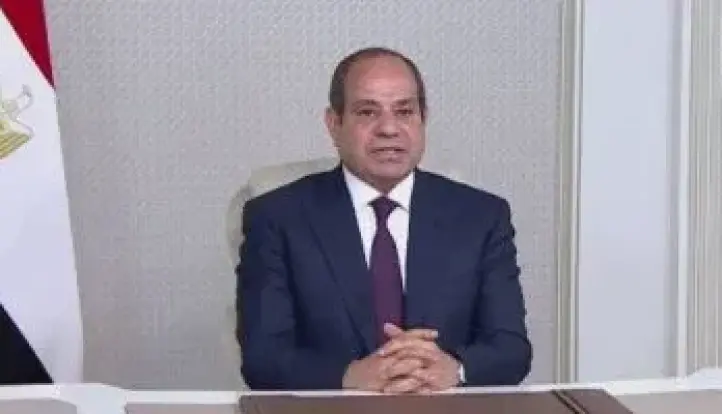 نص كلمة الرئيس السيسى بمناسبة احتفال مصر بـ ”يوم أفريقيا”