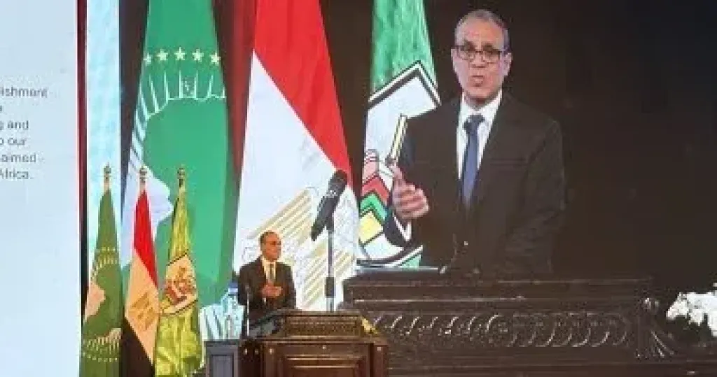 وزير الخارجية: العلاقات المصرية الأفريقية شكلت عبر التاريخ رابطة حضارية